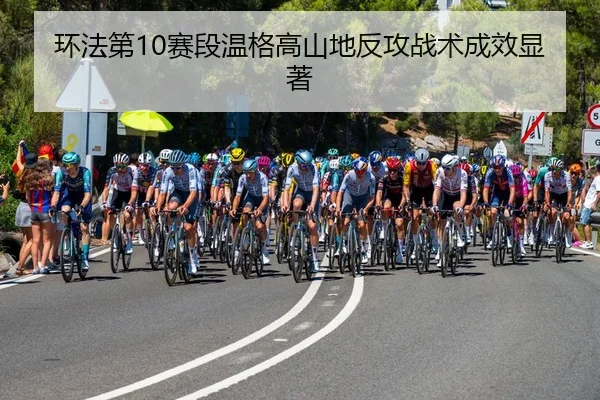 huan-fa-di-sai-duan-wen-ge-gao-shan-di-fan-gong-zhan-shu-cheng-xiao-xian-zhu-3-261.jpg